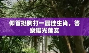 仰首挺胸打一最佳生肖，答案曝光落实