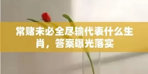 常赌未必全尽输代表什么生肖，答案曝光落实