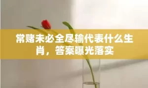 常赌未必全尽输代表什么生肖，答案曝光落实