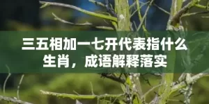 三五相加一七开代表指什么生肖，成语解释落实