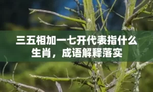 三五相加一七开代表指什么生肖，成语解释落实