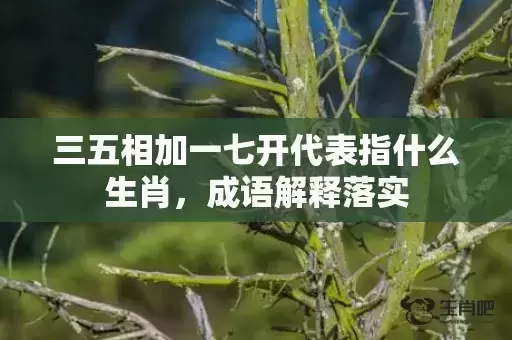三五相加一七开代表指什么生肖,成语解释落实 三五相加一七开代表指什么生肖,成语解释落实