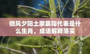 微风夕阳土家寨指代表是什么生肖，成语解释落实