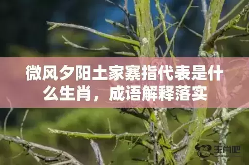 微风夕阳土家寨指代表是什么生肖,成语解释落实 微风夕阳土家寨指代表是什么生肖,成语解释落实