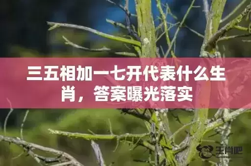三五相加一七开代表什么生肖，答案曝光落实