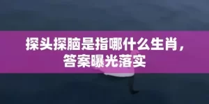 探头探脑是指哪什么生肖，答案曝光落实