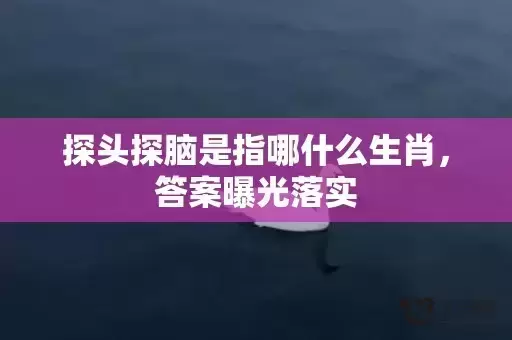 探头探脑是指哪什么生肖,答案曝光落实 探头探脑是指哪什么生肖,答案曝光落实