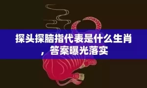 探头探脑指代表是什么生肖，答案曝光落实