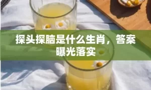 探头探脑是什么生肖，答案曝光落实