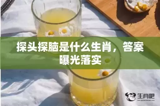 探头探脑是什么生肖,答案曝光落实 探头探脑是什么生肖,答案曝光落实