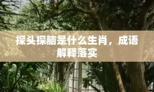 探头探脑是什么生肖，成语解释落实