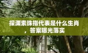 探渊索珠指代表是什么生肖，答案曝光落实