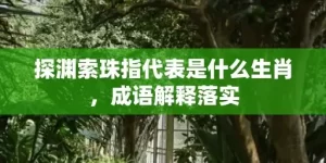 探渊索珠指代表是什么生肖，成语解释落实