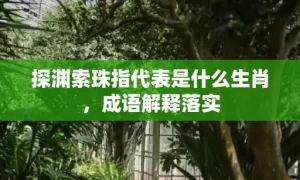 探渊索珠指代表是什么生肖，成语解释落实