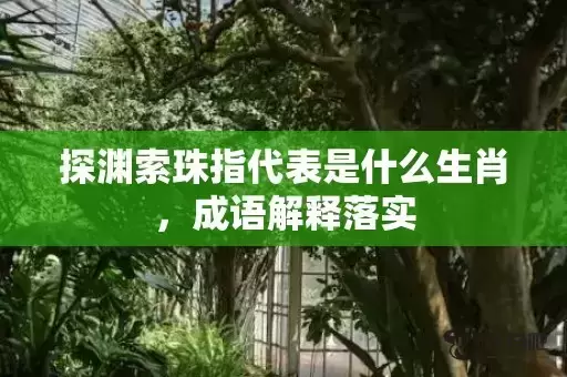 探渊索珠指代表是什么生肖，成语解释落实