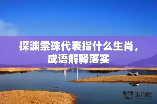 探渊索珠代表指什么生肖，成语解释落实