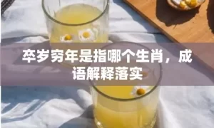 卒岁穷年是指哪个生肖，成语解释落实