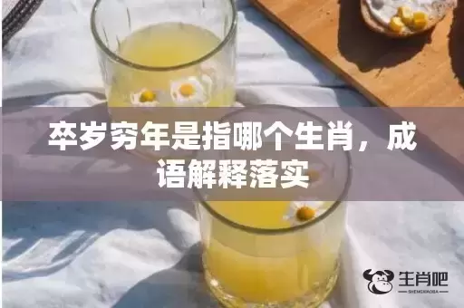 卒岁穷年是指哪个生肖，成语解释落实