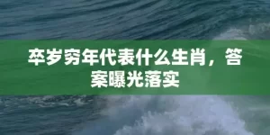 卒岁穷年代表什么生肖，答案曝光落实