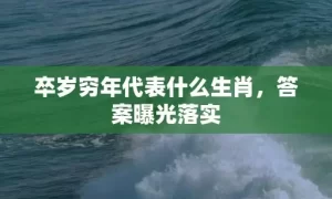 卒岁穷年代表什么生肖，答案曝光落实