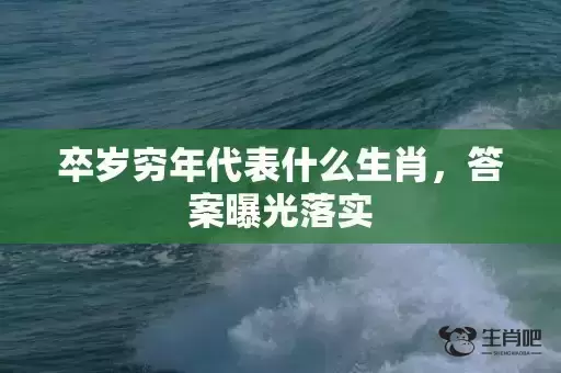 卒岁穷年代表什么生肖，答案曝光落实