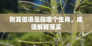 附耳低语是指哪个生肖，成语解释落实