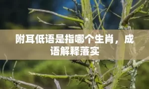 附耳低语是指哪个生肖，成语解释落实