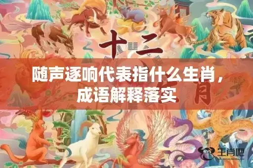 随声逐响代表指什么生肖，成语解释落实