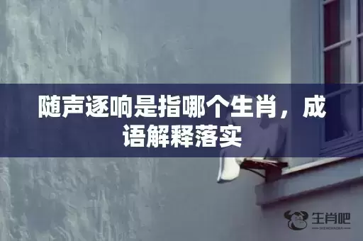 随声逐响是指哪个生肖,成语解释落实 随声逐响是指哪个生肖,成语解释落实