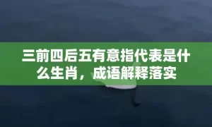 三前四后五有意指代表是什么生肖，成语解释落实