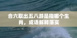 合六取出五八游是指哪个生肖，成语解释落实