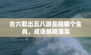 合六取出五八游是指哪个生肖，成语解释落实