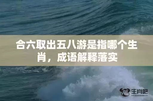 合六取出五八游是指哪个生肖，成语解释落实