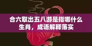 合六取出五八游是指哪什么生肖，成语解释落实