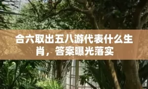 合六取出五八游代表什么生肖，答案曝光落实