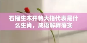 石榴生木开特大指代表是什么生肖，成语解释落实