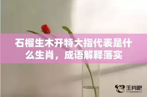 石榴生木开特大指代表是什么生肖,成语解释落实 石榴生木开特大指代表是什么生肖,成语解释落实