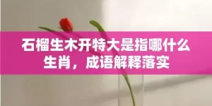 石榴生木开特大是指哪什么生肖，成语解释落实