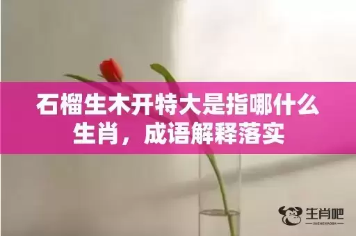 石榴生木开特大是指哪什么生肖，成语解释落实