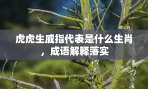 虎虎生威指代表是什么生肖，成语解释落实