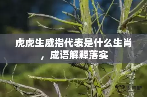 虎虎生威指代表是什么生肖，成语解释落实