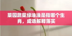 菜园蔬菜绿油油是指哪个生肖，成语解释落实