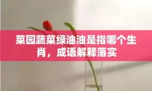 菜园蔬菜绿油油是指哪个生肖，成语解释落实