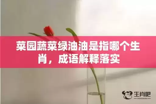菜园蔬菜绿油油是指哪个生肖，成语解释落实