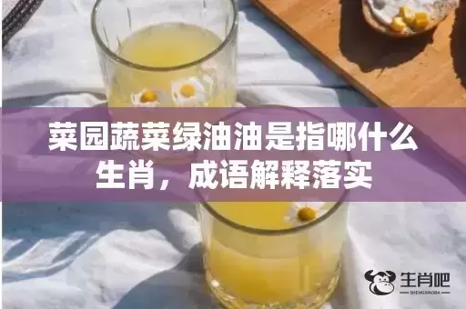 菜园蔬菜绿油油是指哪什么生肖，成语解释落实