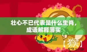 壮心不已代表是什么生肖，成语解释落实