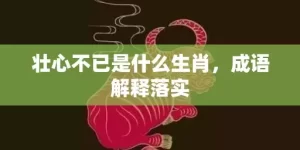 壮心不已是什么生肖，成语解释落实