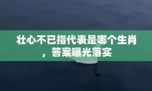 壮心不已指代表是哪个生肖，答案曝光落实