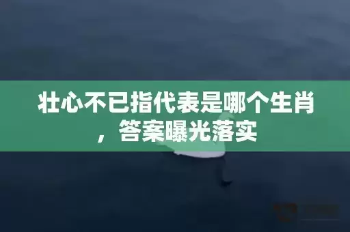 壮心不已指代表是哪个生肖,答案曝光落实 壮心不已指代表是哪个生肖,答案曝光落实