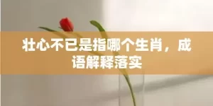 壮心不已是指哪个生肖，成语解释落实